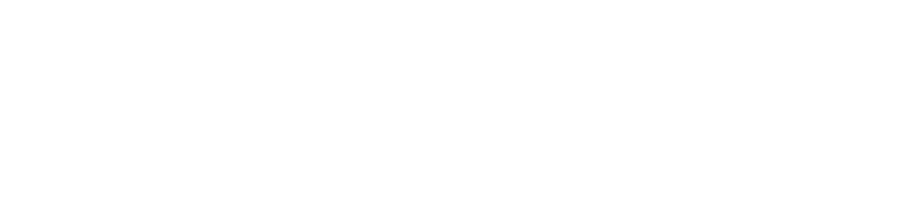 Logo SONDIDO