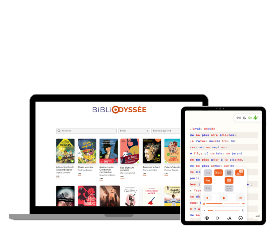 bbo ordi Interface web bibliodyssée